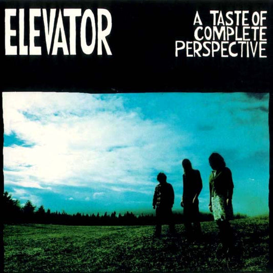 ELEVATOR  - A TASTE OF COMPLETE PERSPECTIVE