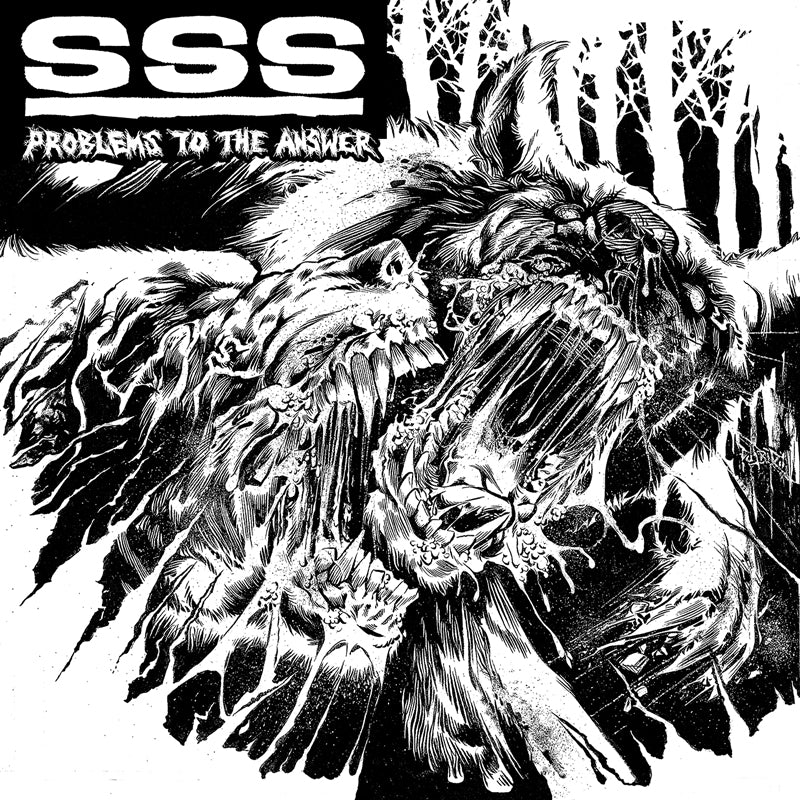 SSS  - PROBLEMS TO THE ANSWER