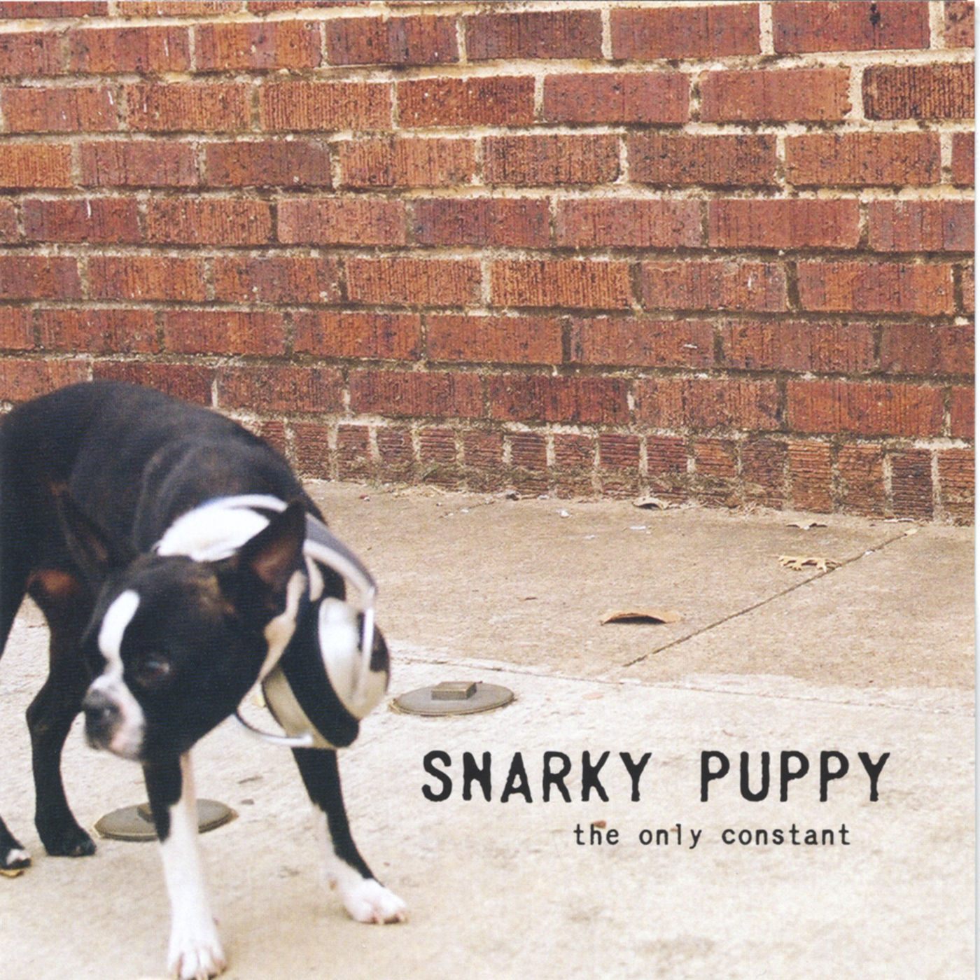 SNARKY PUPPY  - ONLY CONSTANT