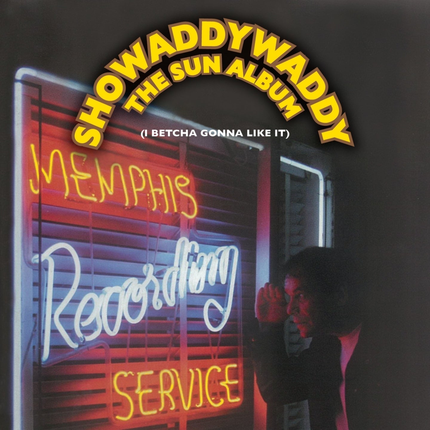 SHOWADDYWADDY  - SUN ALBUM