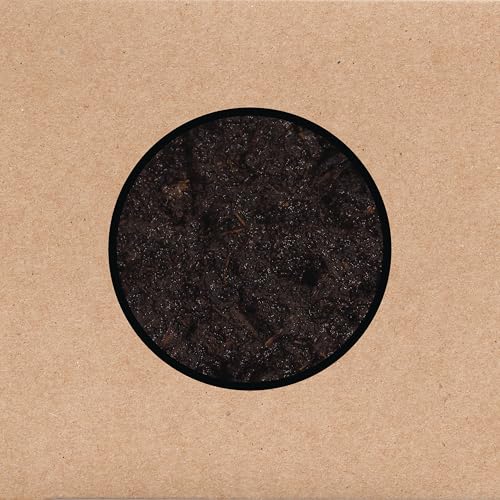 SWANS - BIRTHING (CD)