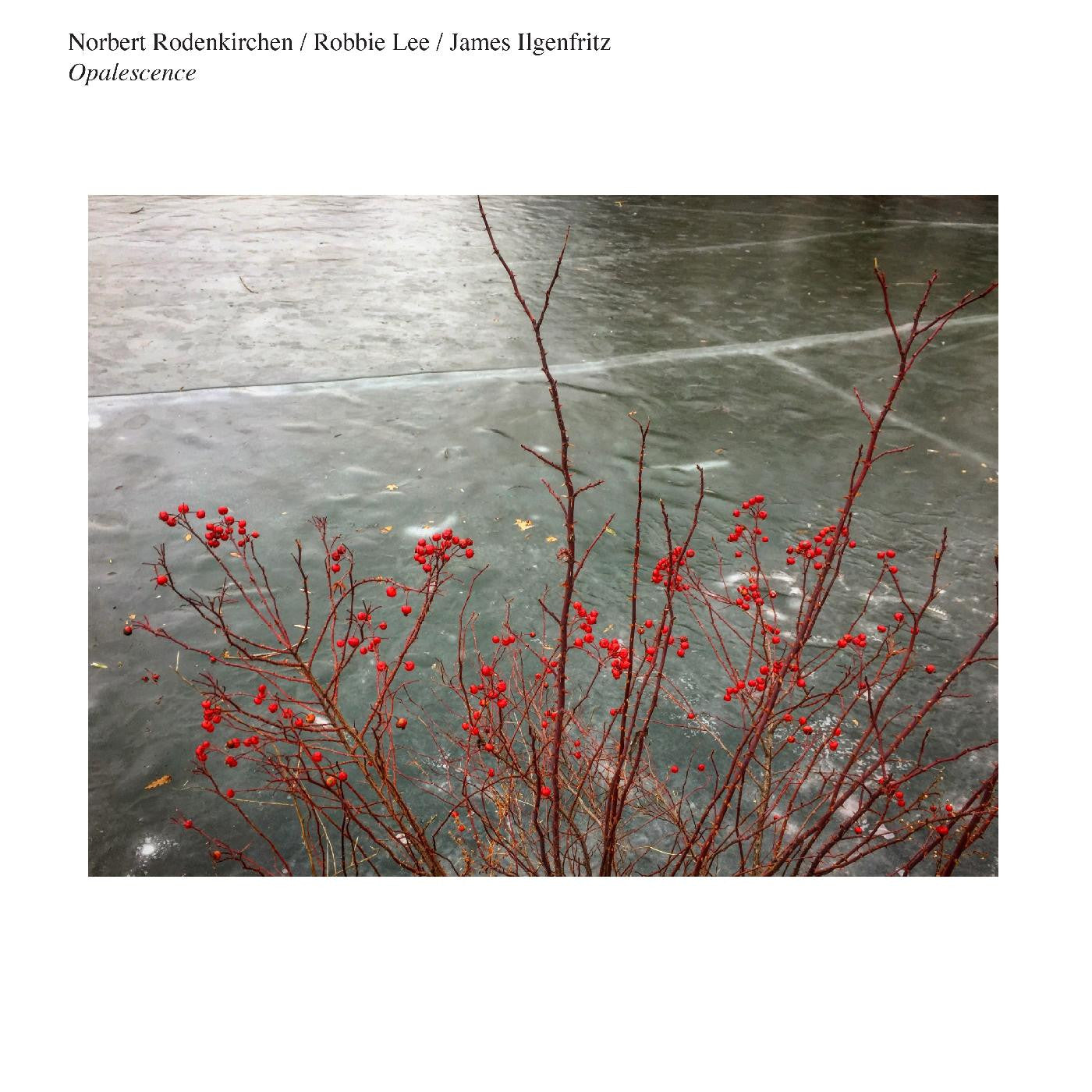 NORBERT RODENKIRCHEN/ROBBIE LEE/JAMES ILGENFRITZ - OPALESCENCE