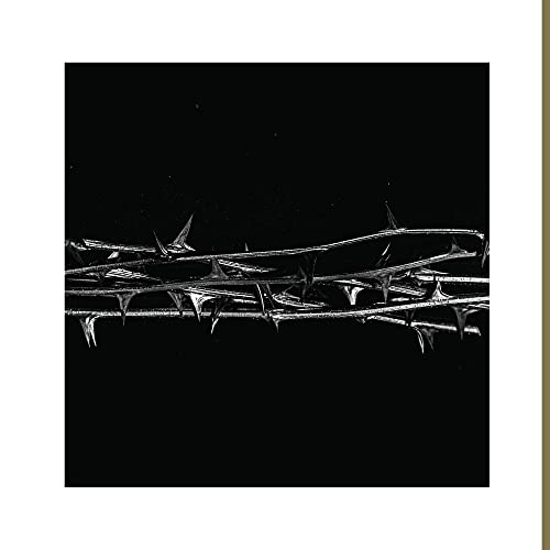 AMENRA - DE DOORN (CD)