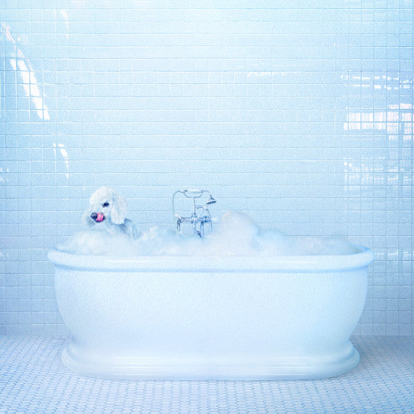 COSMOS, FRANKIE  - VESSEL