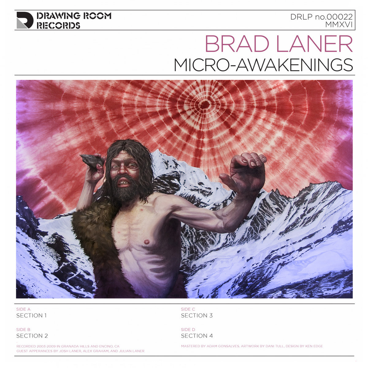 LANER, BRAD - MICRO-AWAKENINGS