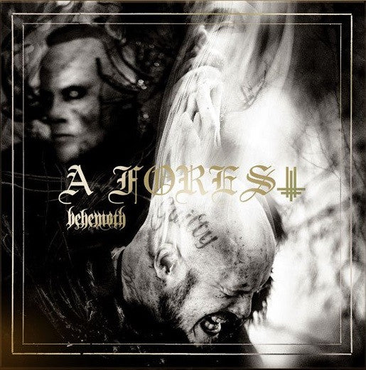 Behemoth - A Forest (Soil & Water) (Used LP)