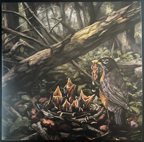 Accia Strain - Step Into The Light (Sanctuary) (Used LP)