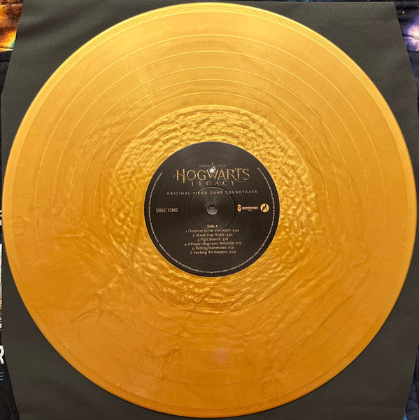 Chuck E. Myers - Hogwarts Legacy OST (Gold) (Used LP)