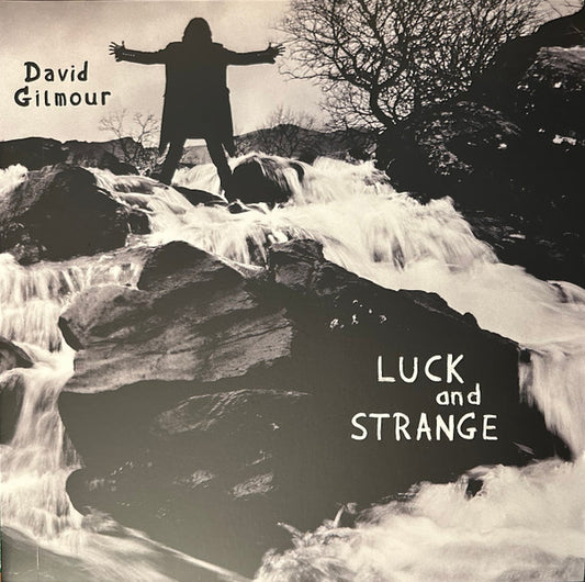 David Gilmour - Luck & Strange (Blue) (Used LP)