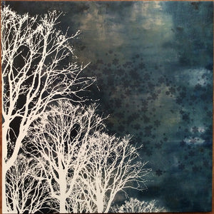 Wintersleep - Wintersleep (Used LP)