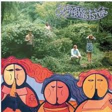 LADYBUG TRANSISTOR  - ALBEMARLE SOUND