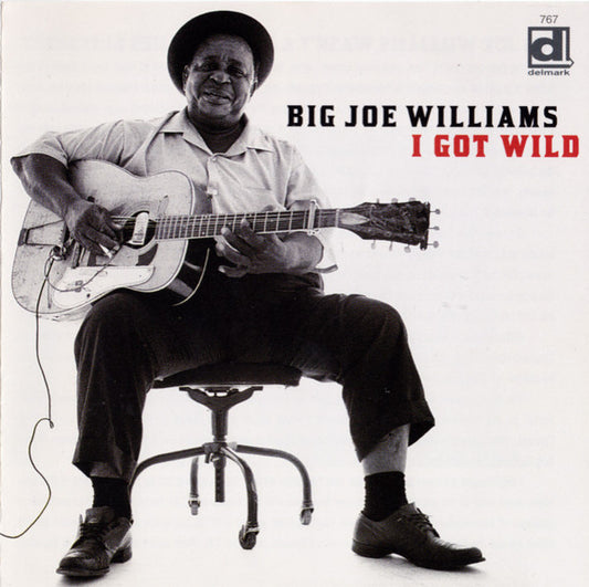 WILLIAMS, BIG JOE  - I GOT WILD