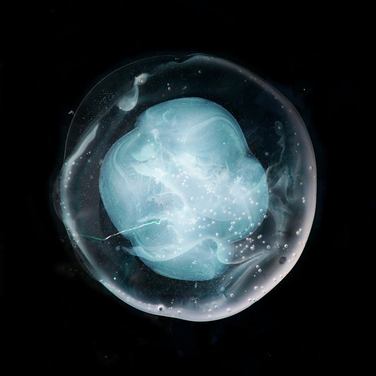 A WINGED VICTORY FOR THE SULLEN - UNDIVIDED FIVE