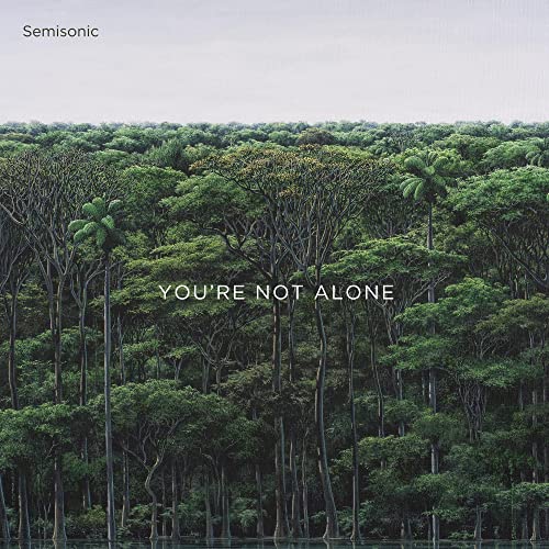 SEMISONIC - YOU'RE NOT ALONE (VINYL)