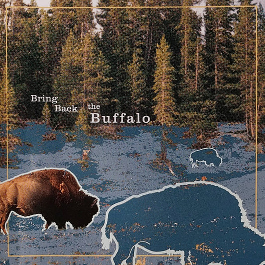 BRING BACK THE BUFFALO  - ST