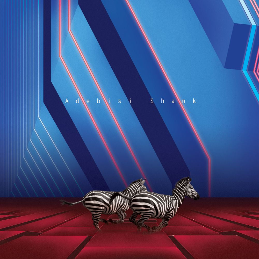 ADEBISI SHANK - THIS IS THE SECOND ALBUM OF A BAND CALLED ADEBISI SHANK