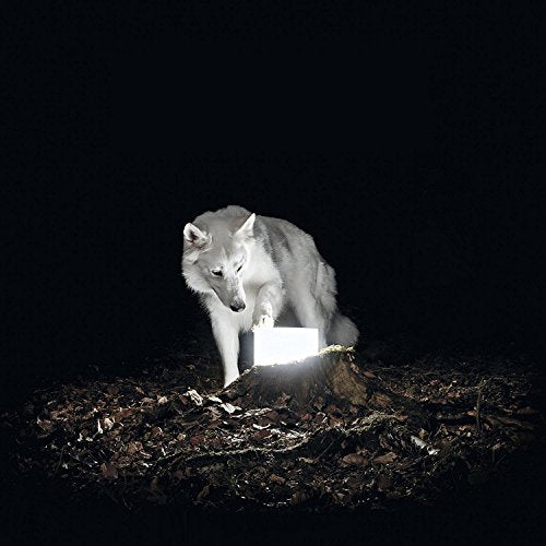VANISHING LIFE - SURVEILLANCE (VINYL)