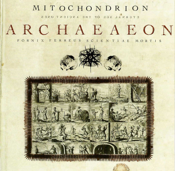 MITOCHONDRION  - ARCHAEAON