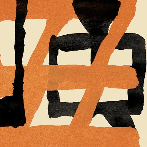 WANG WEN - PAINFUL CLOWN & NINJA TIGER (VINYL)