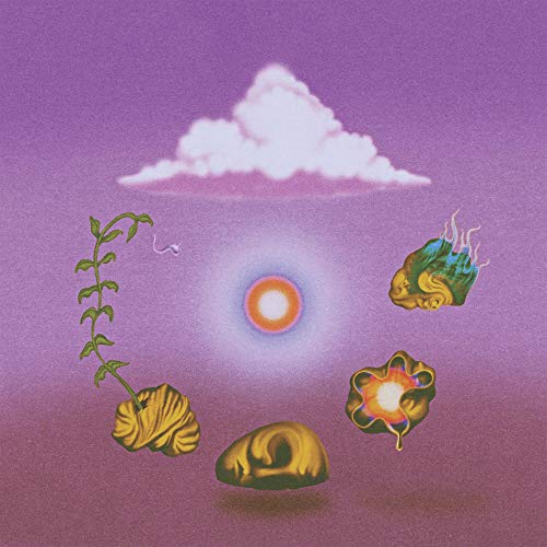 EVOLFO - SITE OUT OF MIND (VINYL)