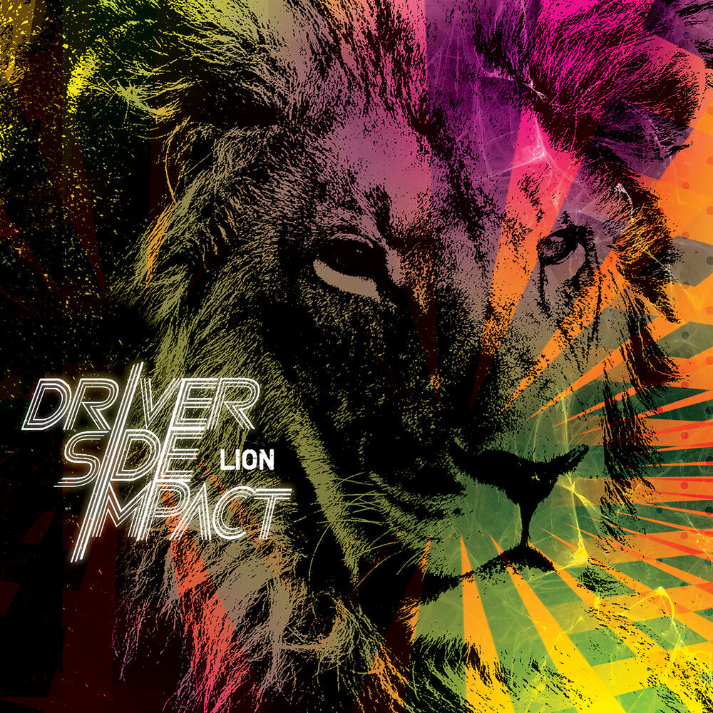 DRIVER SIDE IMPACT  - LION