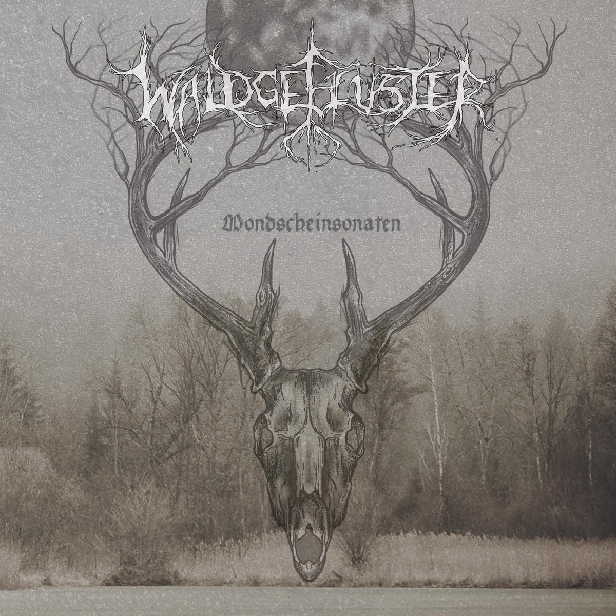 WALDGEFLÜSTER - MONDSCHEINSONATEN