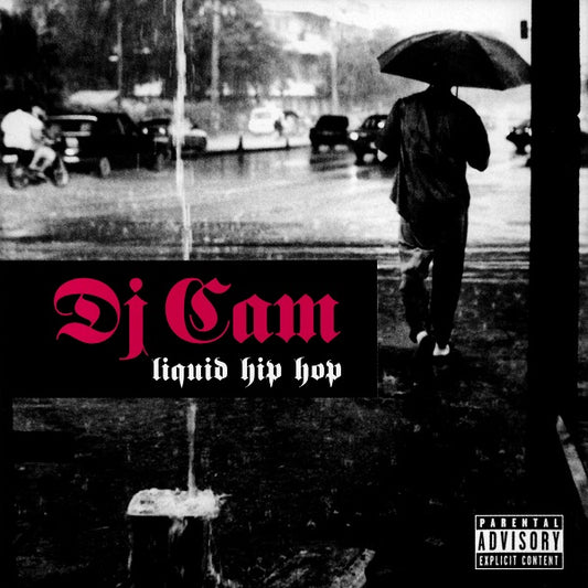 DJ CAM  - LIQUID HIP HOP