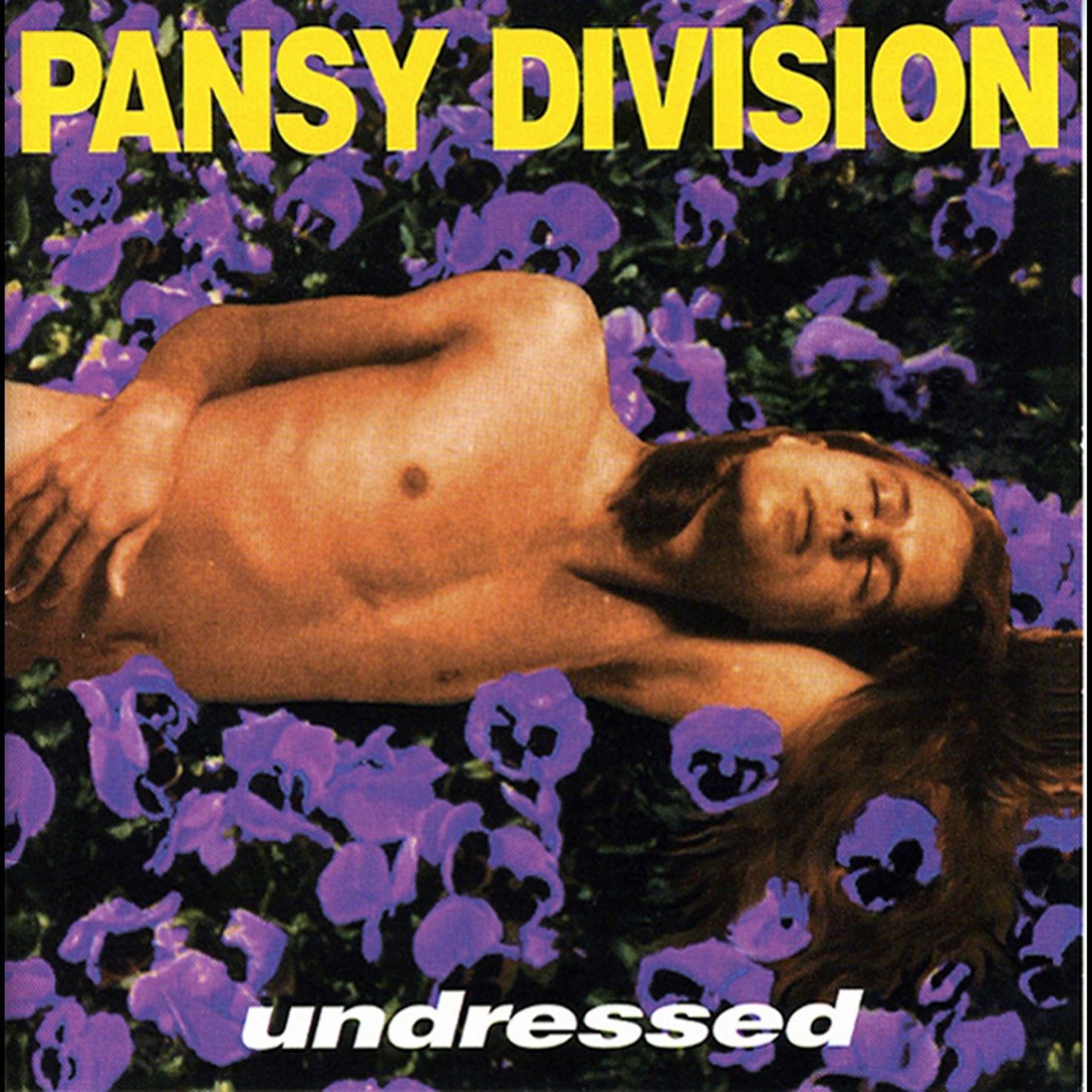 PANSY DIVISION  - UNDRESSED