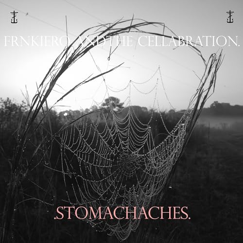 FRNKIERO AND THE CELLABRATION - STOMACHACHES (VINYL)