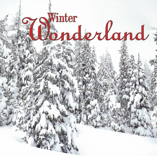 VARIOUS  - WINTER WONDERLAND (2CD)