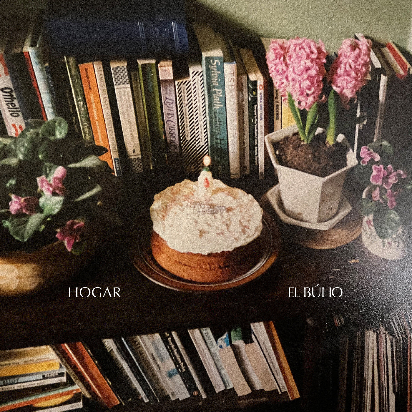 EL BUHO - HOGAR