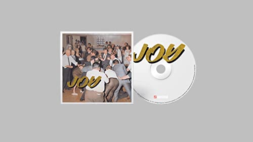 IDLES - JOY AS AN ACT OF RESISTENCE
