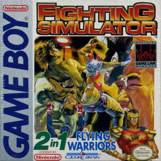 FLYING WARRIORS/FIGHTING SIMULATOR  - GB1