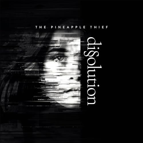 THE PINEAPPLE THIEF - DISSOULTION (VINYL)