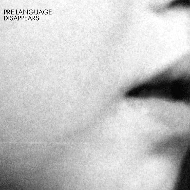 DISAPPEARS  - PRE LANGUAGE