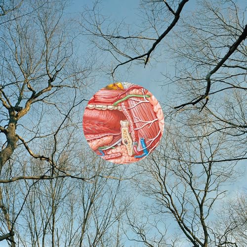 THEY MIGHT BE GIANTS - GLEAN/CLEAR WITH RED WHISPS VINYL