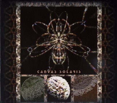CANVAS SOLARIS  - CORTICAL TECTONICS
