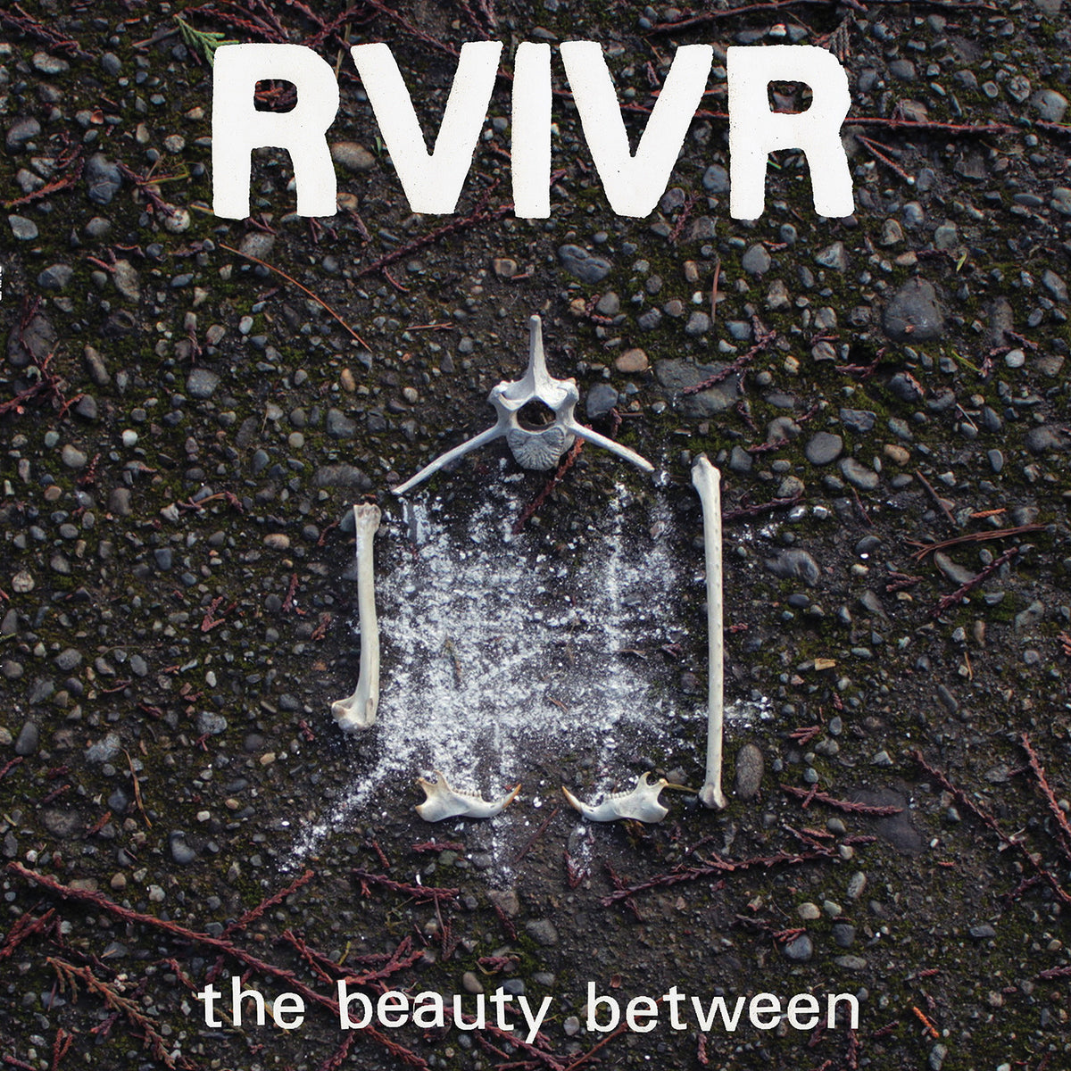 RVIVR - THE BEAUTY BETWEEN (BLACK/CLEAR VINYL)