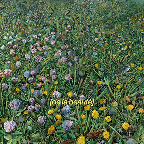 DE LA BEAUTE - MEME L'IMPOSSIBLE FLEURIT (CD)