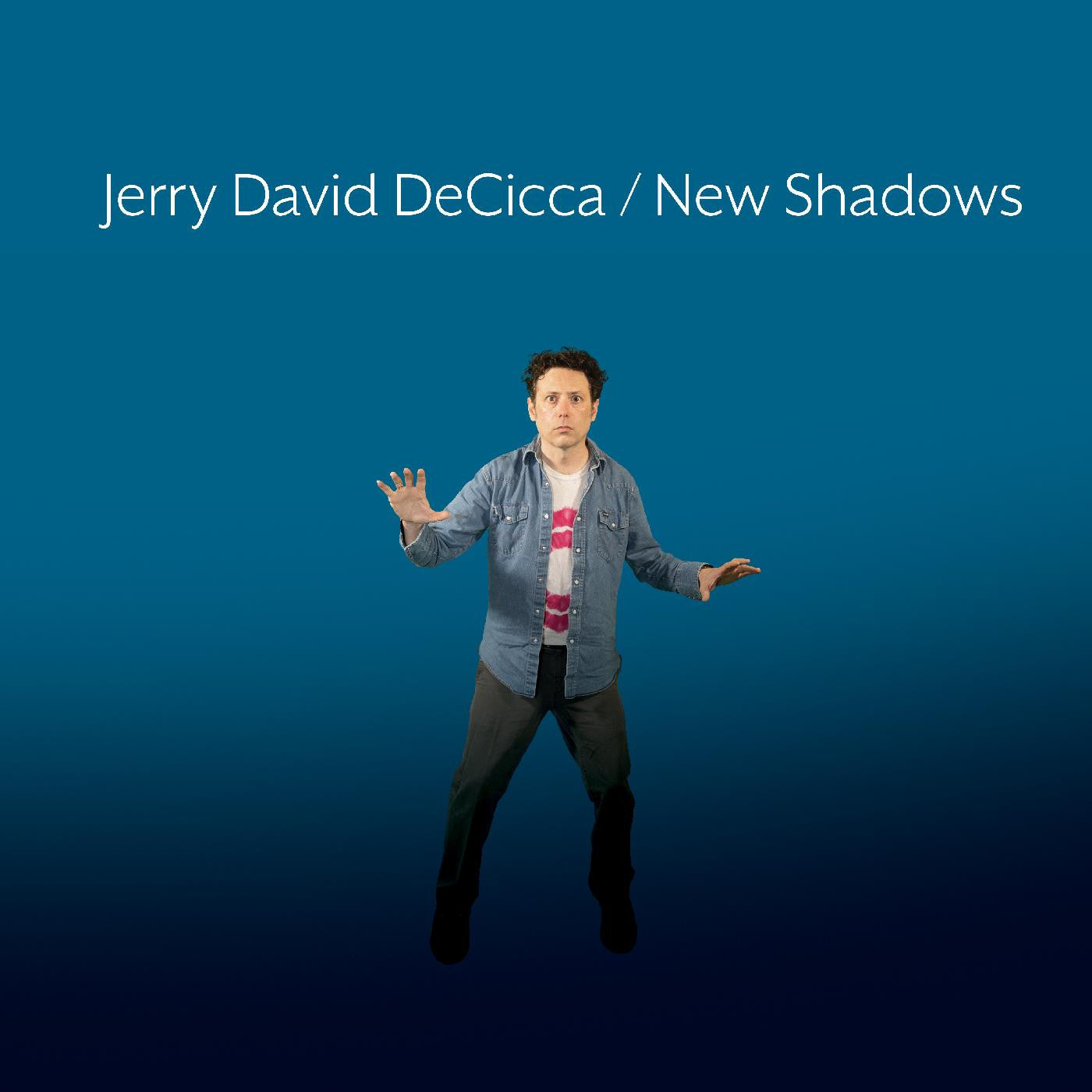 DECICCA, JERRY DAVID - NEW SHADOWS