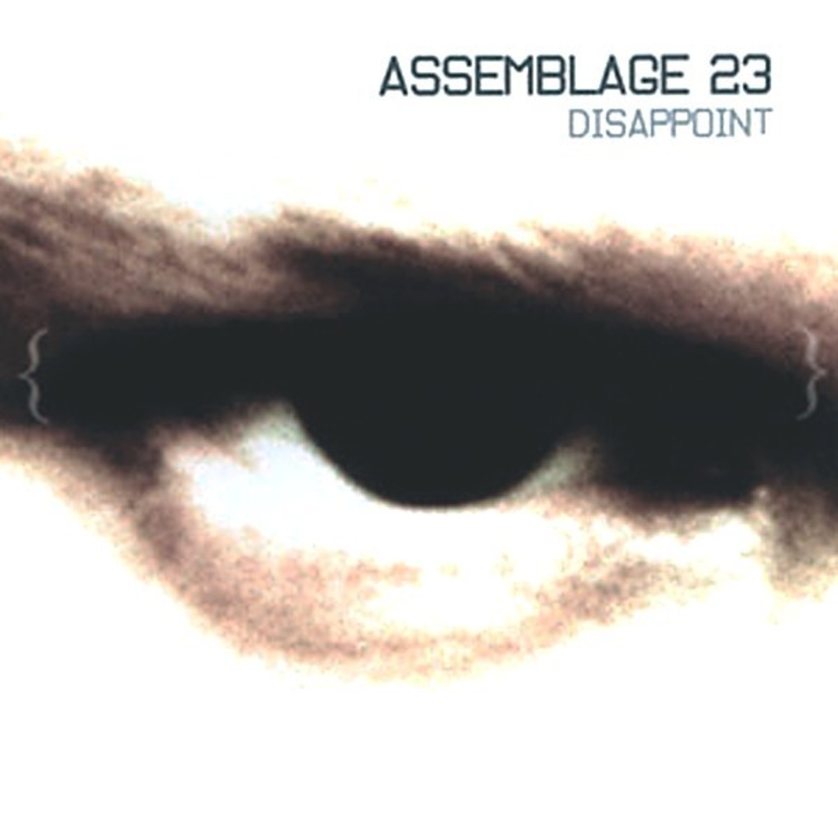 ASSEMBLAGE 23  - DISAPPOINT