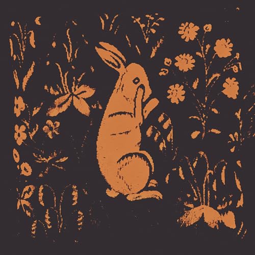 SADNESS - RABBIT ALBUM (VINYL)