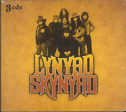 LYNYRD SKYNYRD - DOUBLE TROUBLE/WHAT'S YOUR NAME/ST
