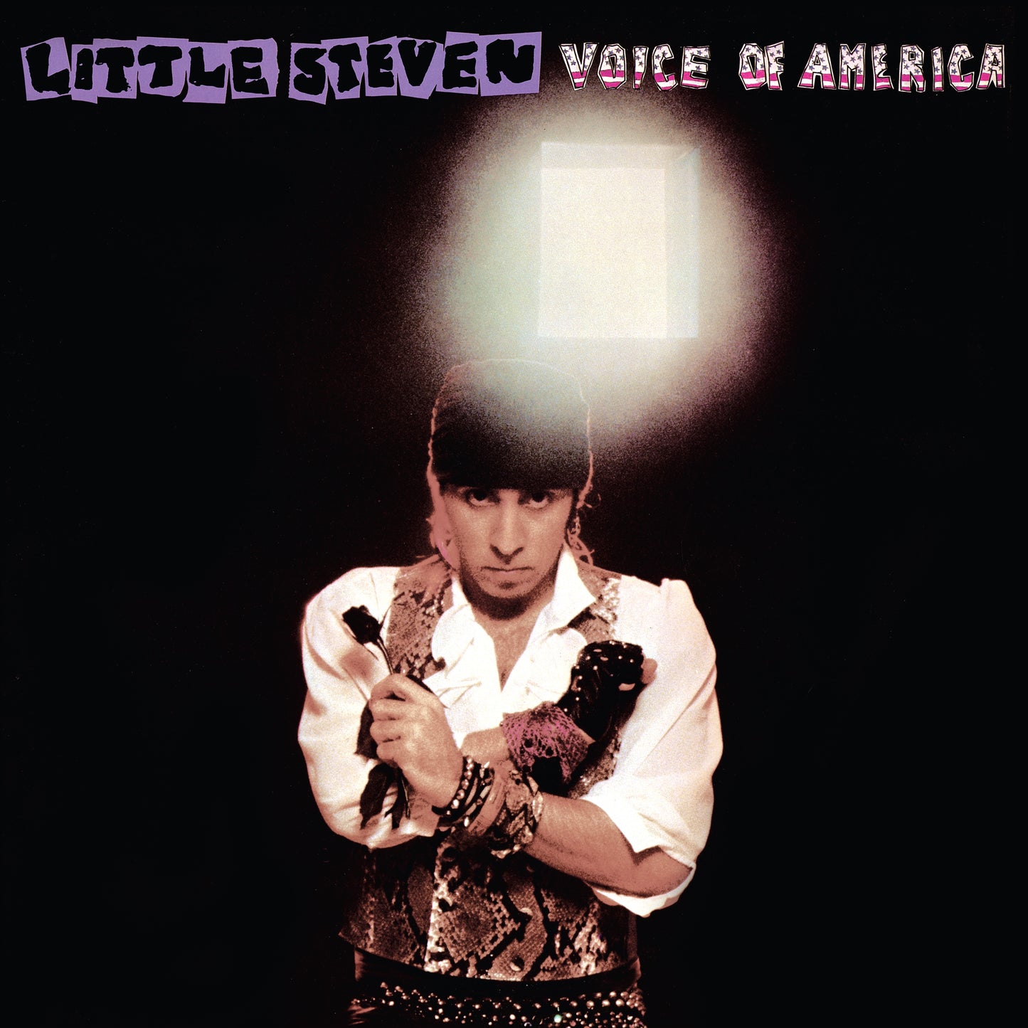 LITTLE STEVEN  - VOICE OF AMERICA (CD/DVD)