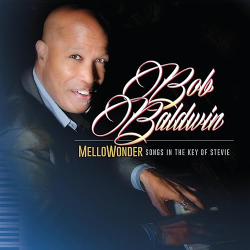 BOB BALDWIN - MELLOWONDER- SONGS IN THE KEY OF STEVIE (VINYL)