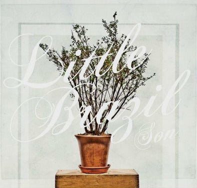 LITTLE BRAZIL  - SON