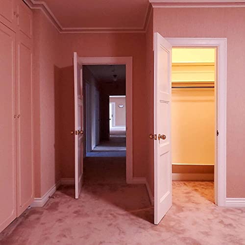 EMPATH - VISITOR (VINYL)