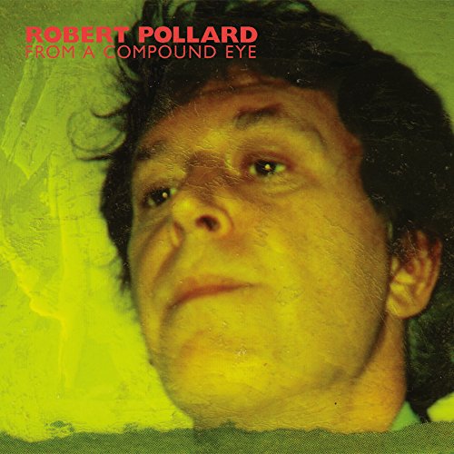 POLLARD, ROBERT - FROM A COMPOUND EYE