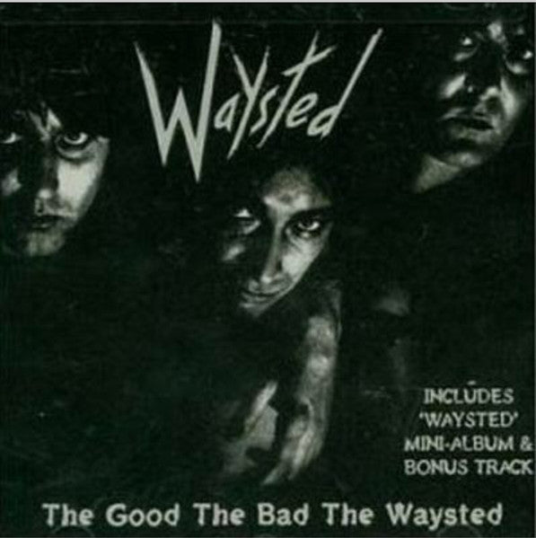 WAYSTED  - GOOD, THE BAD, THE WAYSTED