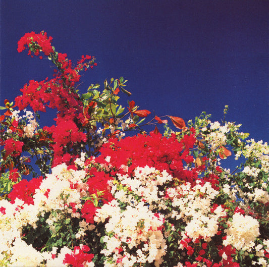 PANOPTICA  - TIJUANA REMIXES